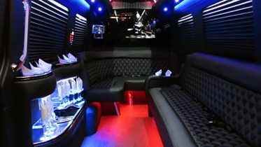 Brooklyn party bus service